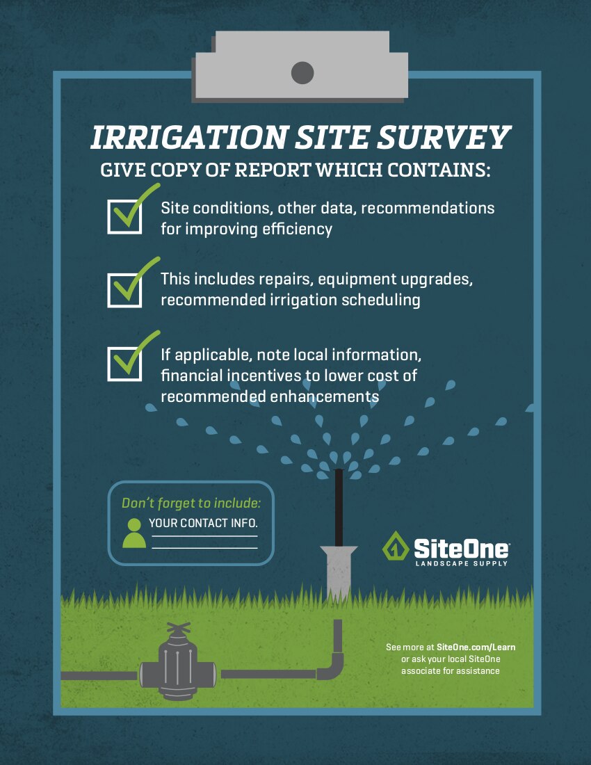 How Fertilizer Feeds Turf